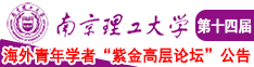 大鸡吧草小骚逼南京理工大学第十四届海外青年学者紫金论坛诚邀海内外英才！